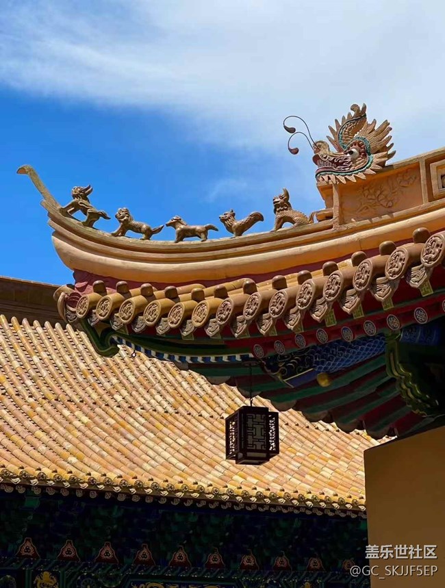 【相册里的年味】普陀山：一场心灵的朝圣之旅