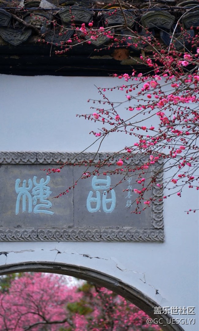 【春花浪漫】+邂逅春日浪漫