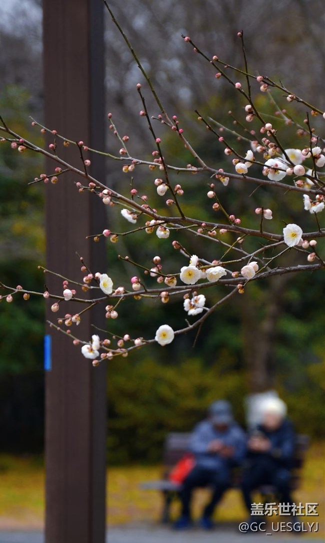 【春花浪漫】+邂逅春日浪漫