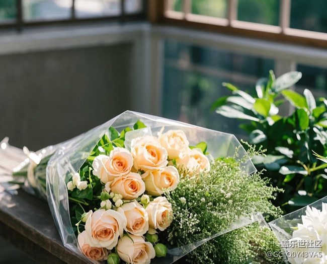【广州的花花们】邂逅春日繁花盛景