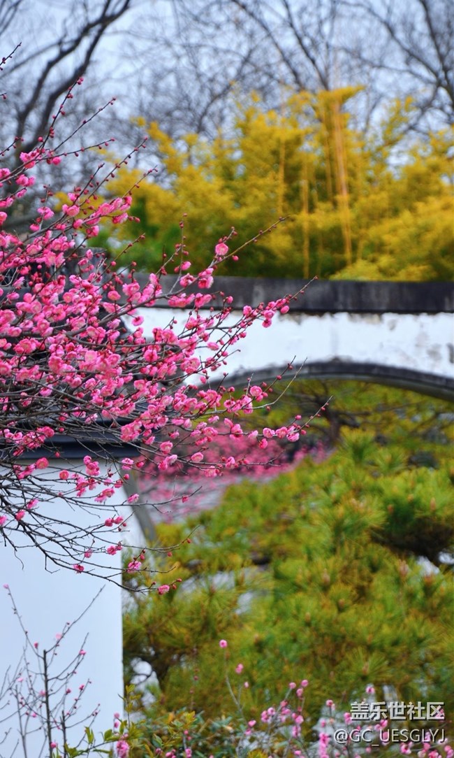 【春花浪漫】+寻芳记，邂逅花的盛宴