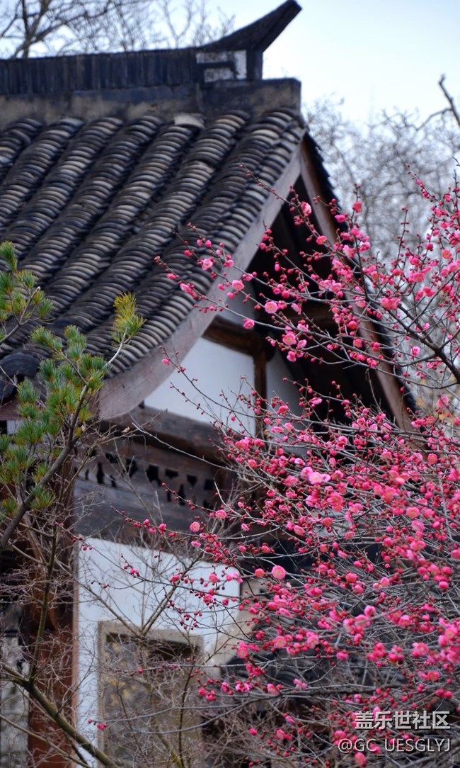 【春花浪漫】+寻芳记，邂逅花的盛宴