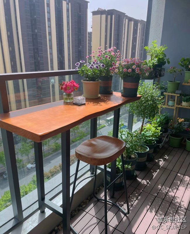 【广州的花花们】+阳台一隅，藏着生活的诗