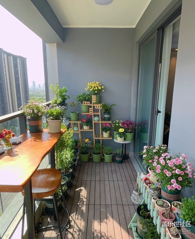 【广州的花花们】阳台小花园，我的诗与远方