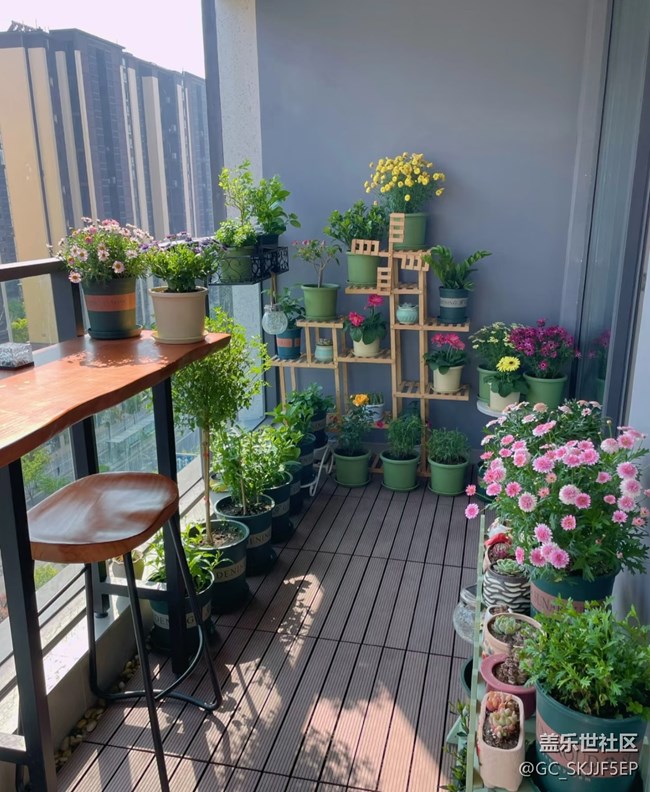 【广州的花花们】+阳台一隅，藏着生活的诗