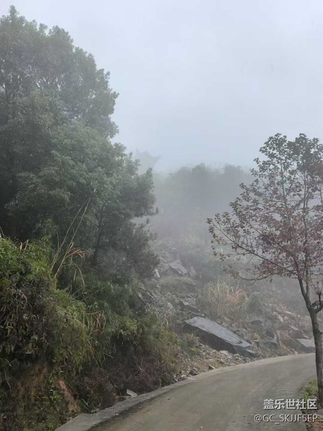 【相册里的年味】+雾中深山，邂逅诗意