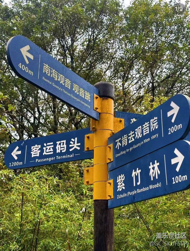【相册里的年味】普陀山：一场心灵的朝圣之旅
