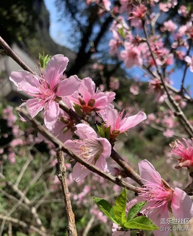 【约定3月的旅行】醉美自然