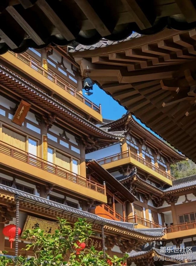 【约定3月的旅行】春日求佛