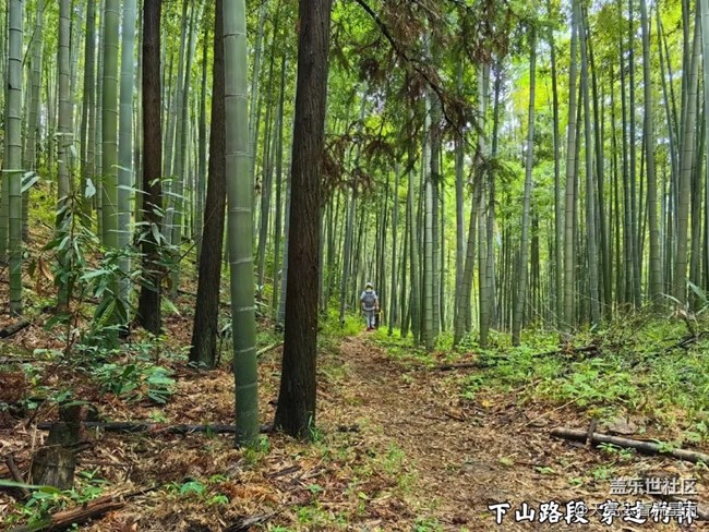 南屿山环线徙步登山（二）