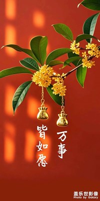 万事如愿