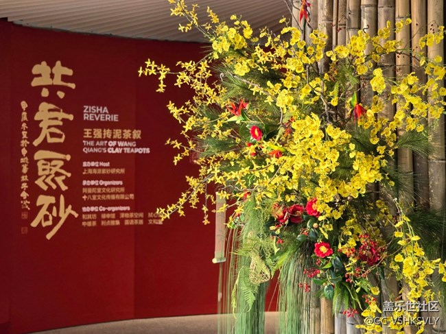【龙华citywalk线下摄影活动】+活动回顾