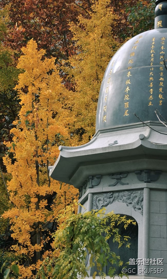 【春花浪漫】古刹秋韵，诗意禅境