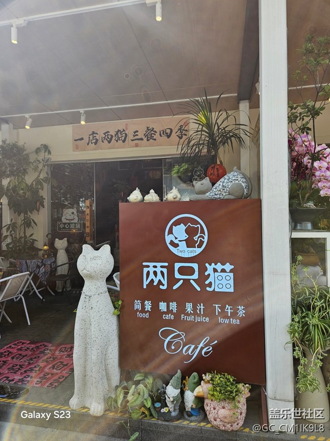 【活动回顾】花海如潮