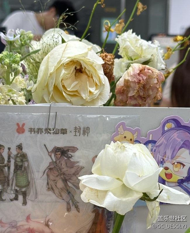 【广州的花花们】花影交织的日常诗意