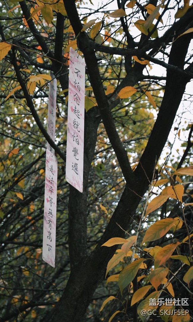 【春花浪漫】寻迹古意，邂逅时光之美