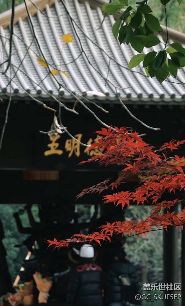 【春花浪漫】古刹秋韵，诗意禅境