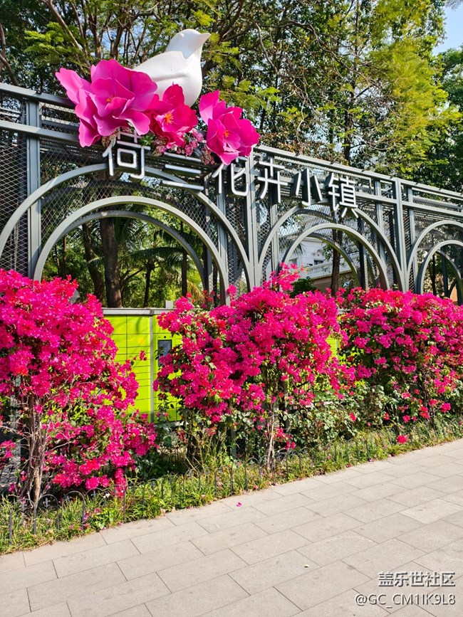 【春日寻花】花海如潮