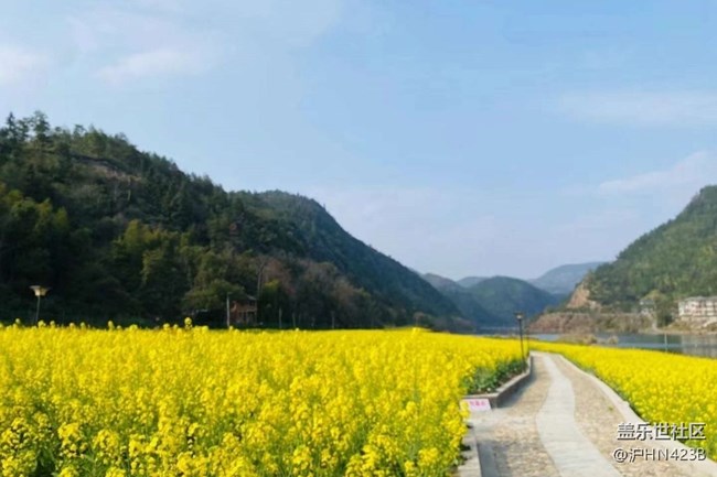 【春日寻花】春天的味道