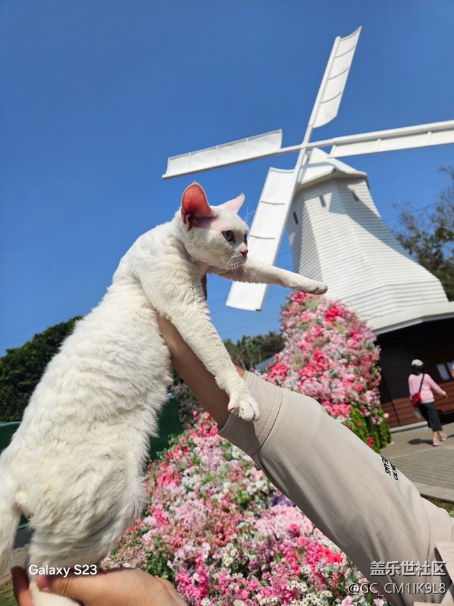 【春日寻花】花海如潮