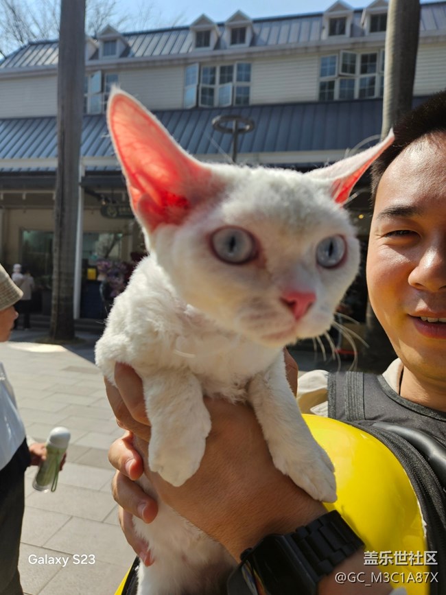 【活动回顾】周末三星之约