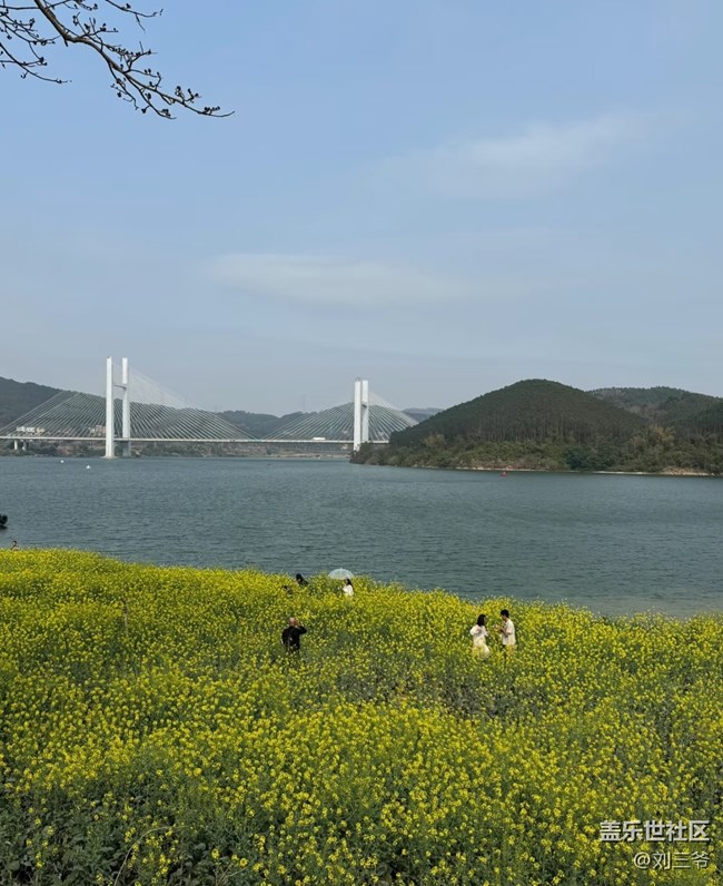 【广州的花花们】寻花之旅，邂逅春日浪漫