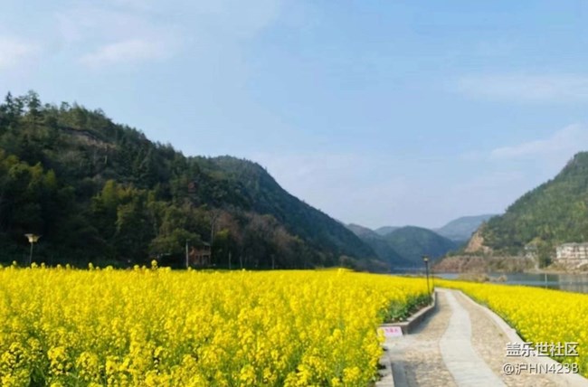 【春日寻花】春天的味道