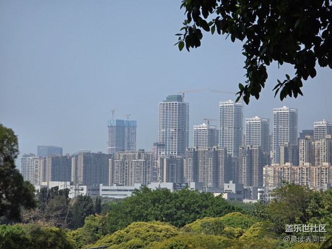 【活动回顾】3月9日中山公园见证爱情