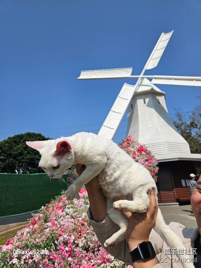 【春日寻花】花海如潮