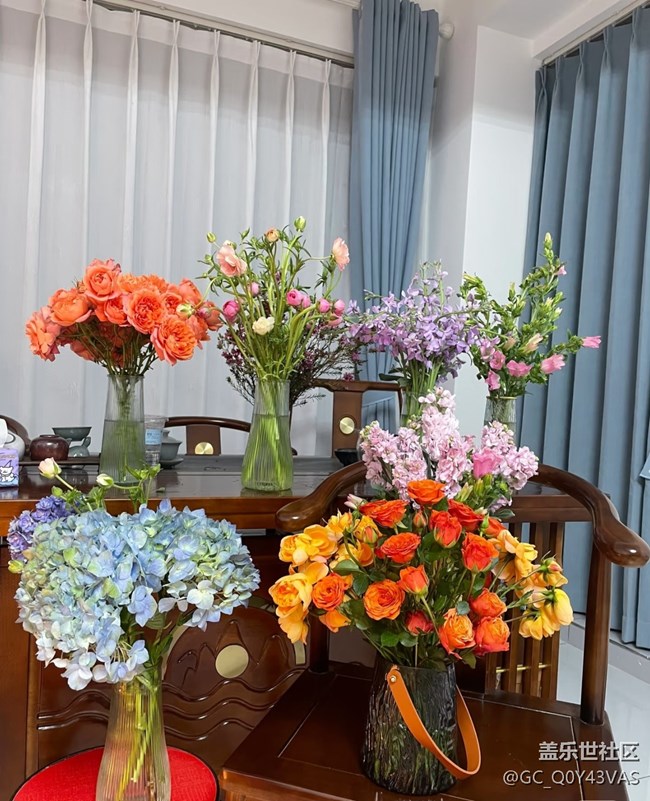 【春花浪漫】把春天搬回家