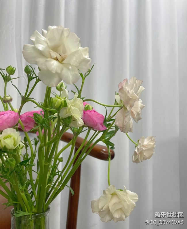 【广州的花花们】花漾生活，浪漫满屋