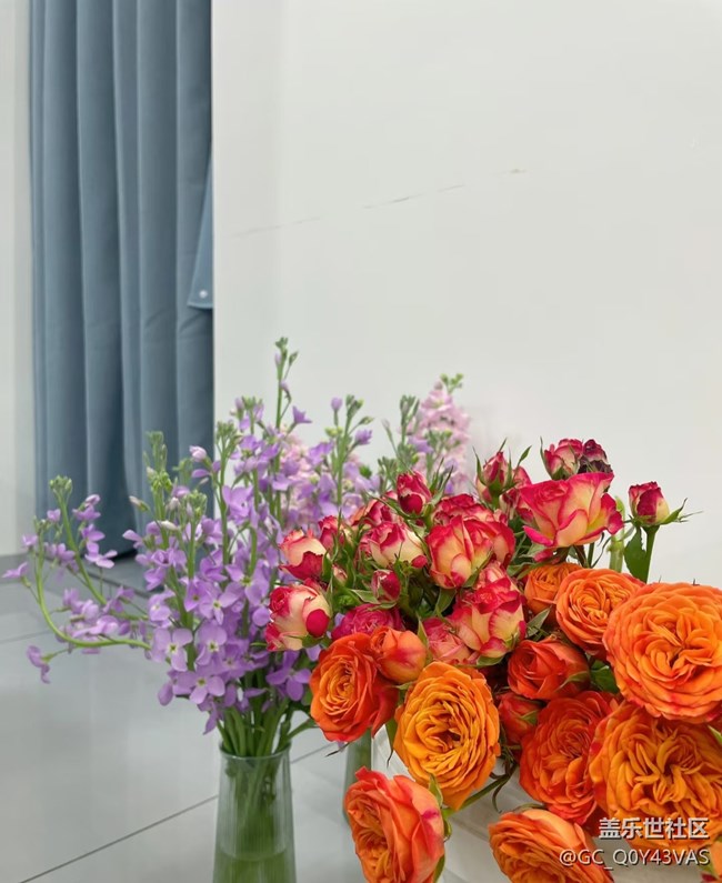 【广州的花花们】花漾生活，浪漫满屋