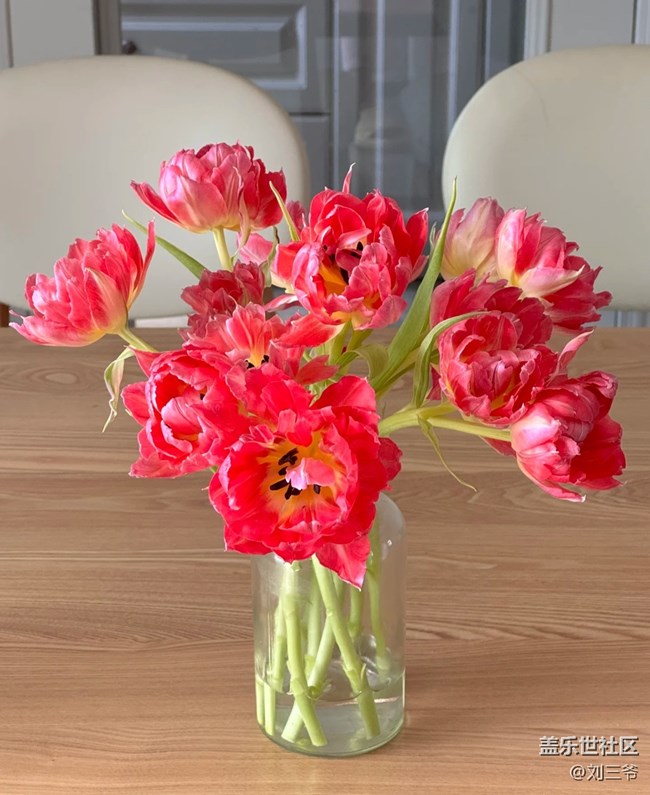 【春花浪漫】+繁花入室，邂逅浪漫