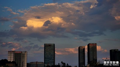【光耀生活】+深圳晚霞夜景和黄花风铃木