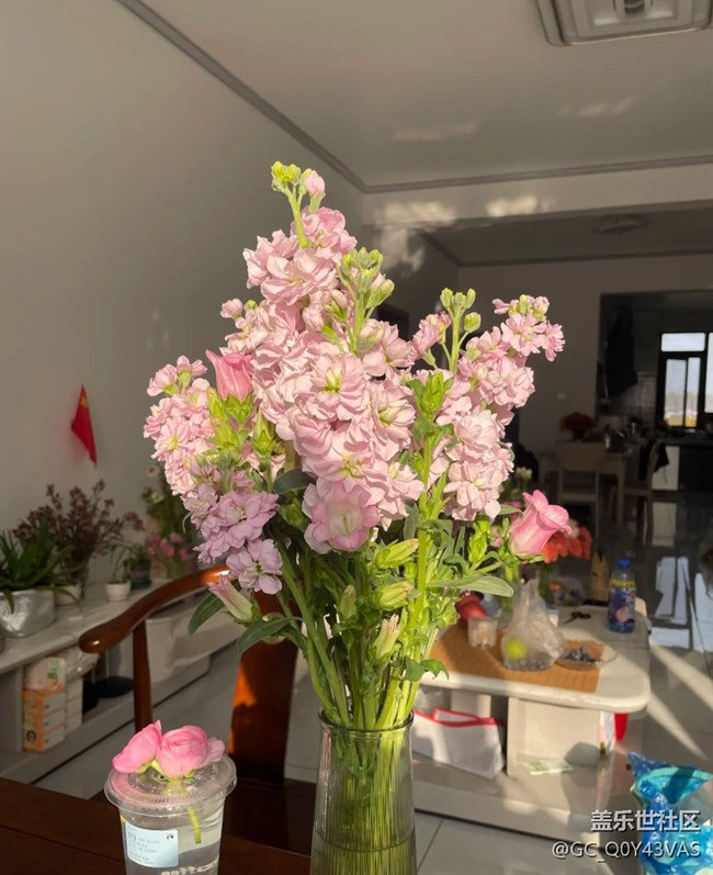 【春花浪漫】把春天搬回家