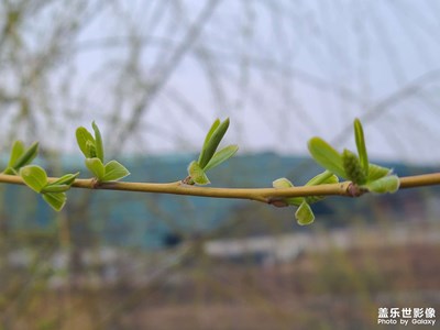 【光耀生活】+美丽三月