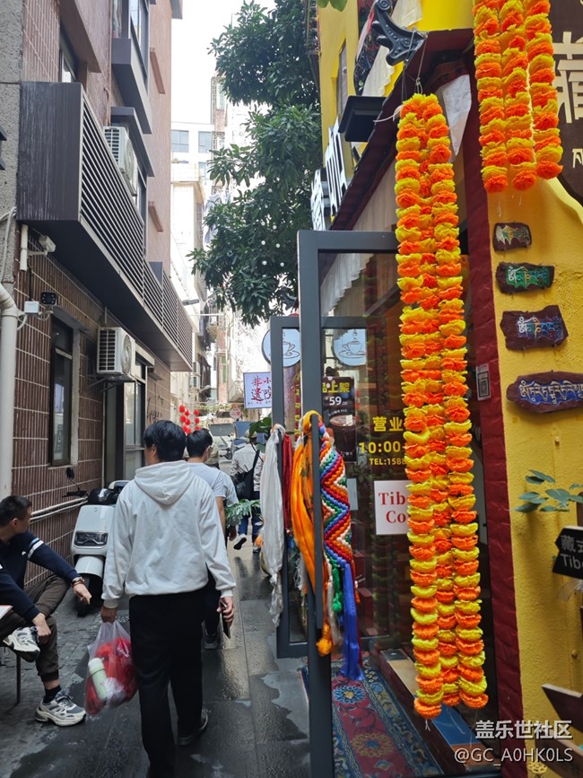 【活动回顾】花卉小镇