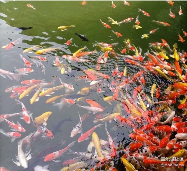 【约定3月的旅行】美好春光