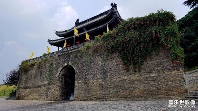 随手拍