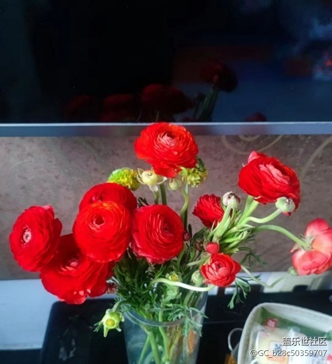 【春日寻花】花开灿烂