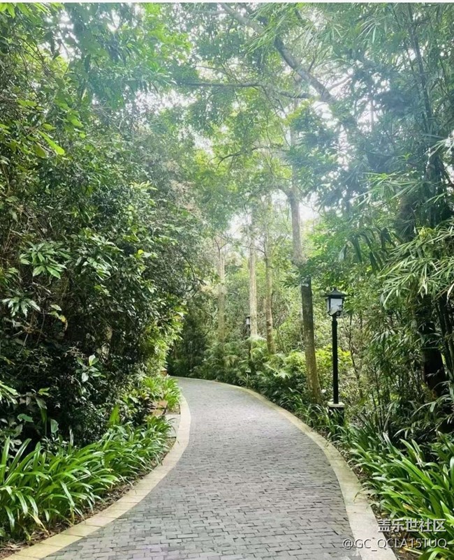 【约定3月的旅行】森林公园