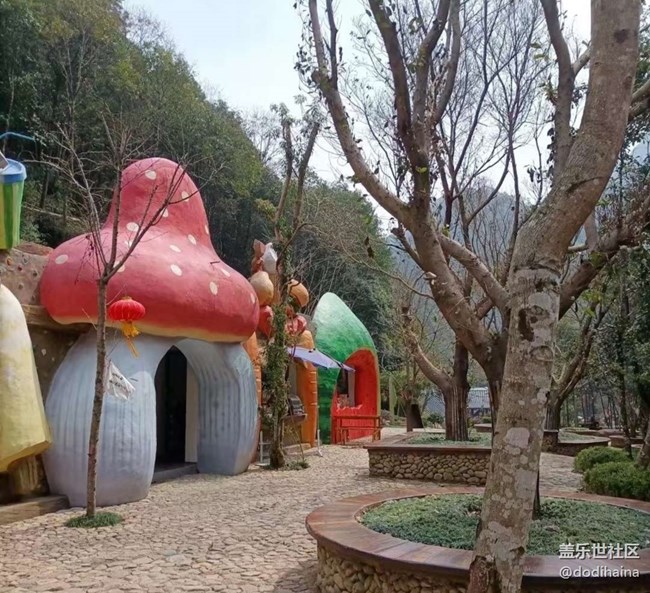 【约定3月的旅行】美好春光