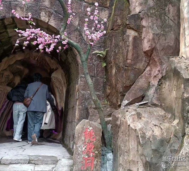 【约定3月的旅行】美好春光