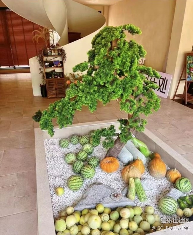 【约定3月的旅行】春天游玩