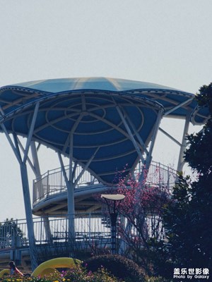 【好春光】公园美景