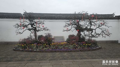 苏州