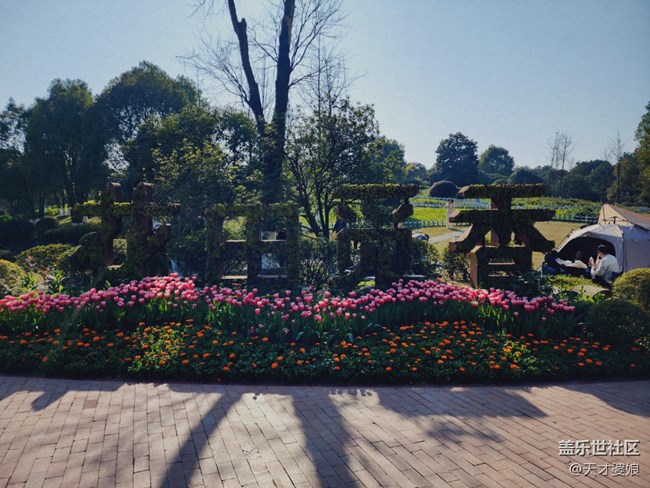【醒春】花开醒春时