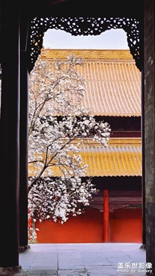 再拍朝天宫