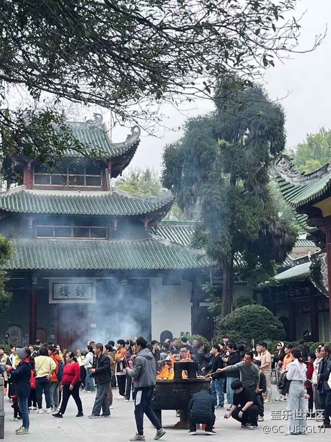 【時間在此刻靜止】寻踪春日，邂逅多元之美