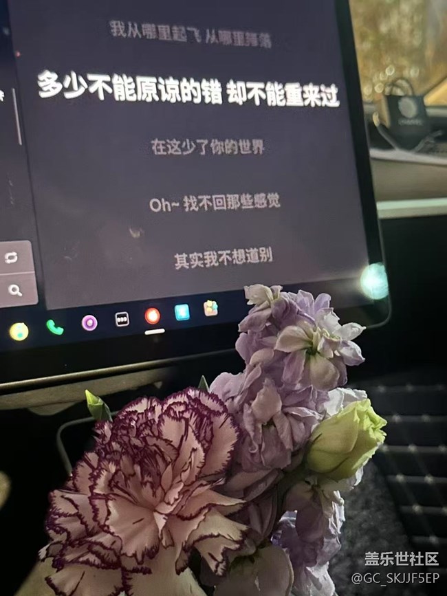 【广州的花花们】花海与思绪的交织